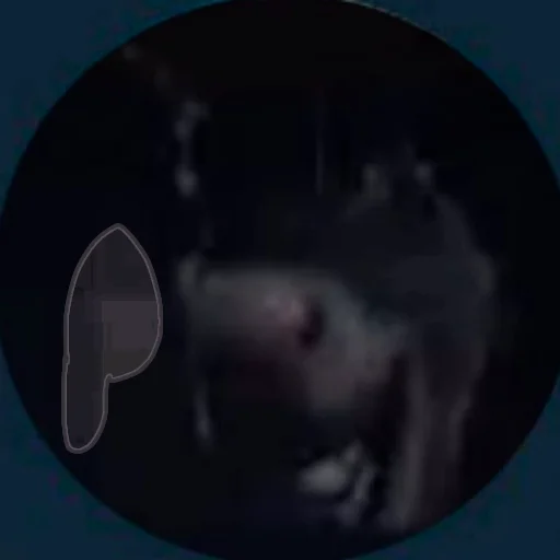 Sticker ПРАХ ОСЛА ВЕЧЕН - 6