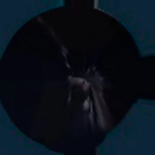 Sticker ПРАХ ОСЛА ВЕЧЕН - 3