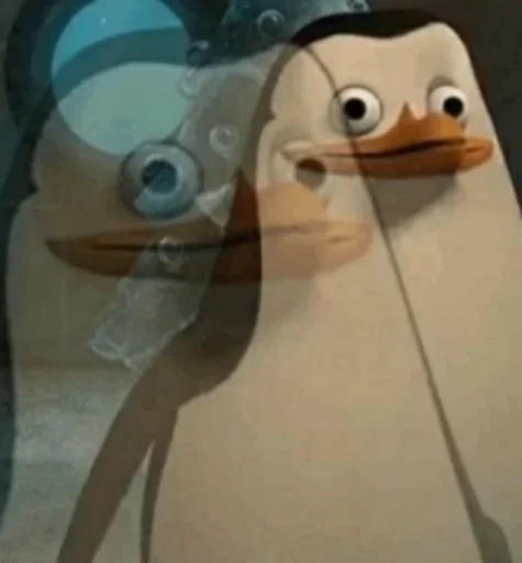 Пингвин из Мадагаскара - 