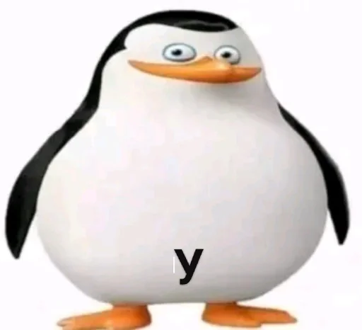 aquatic bird penguin flightless bird