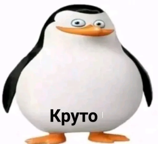 водная птица пингвин нелетающая птица