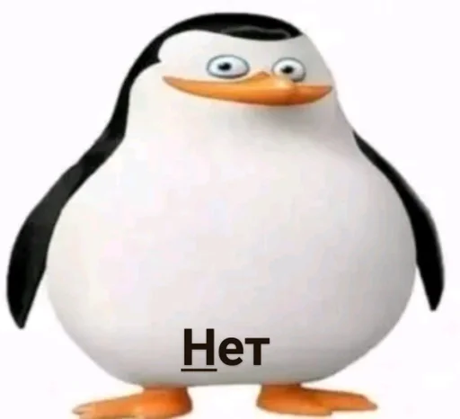 aquatic bird penguin flightless bird