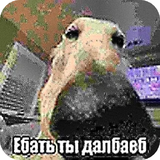 Sticker прекрасные стики @spuchiki - 11