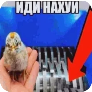 Sticker прекрасные стики @spuchiki - 6