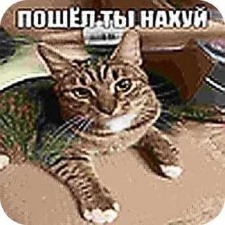 Sticker прекрасные стики @spuchiki - 9