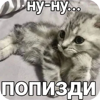 Sticker прекрасные стики @spuchiki - 4