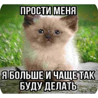 Sticker прекрасные стики @spuchiki - 8