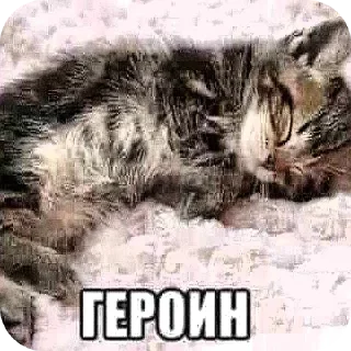 Sticker прекрасные стики @spuchiki - 5