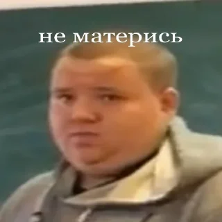 Sticker Президент Антарктиды - 5