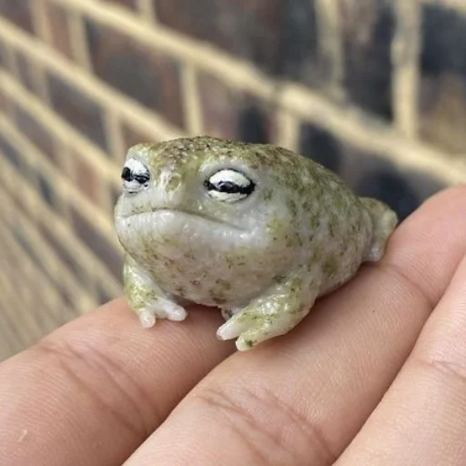 Sticker Pretty_froggys - 1