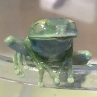 Sticker Жабки :ь - 2