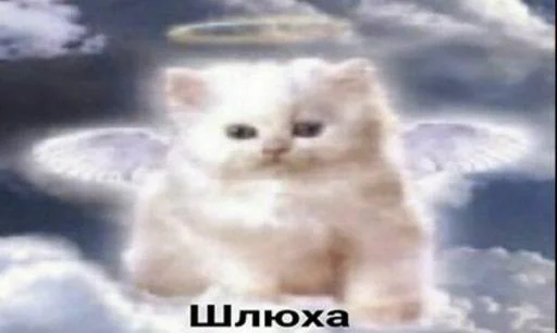 Sticker MEMES/МЕМЧИКИ - 11