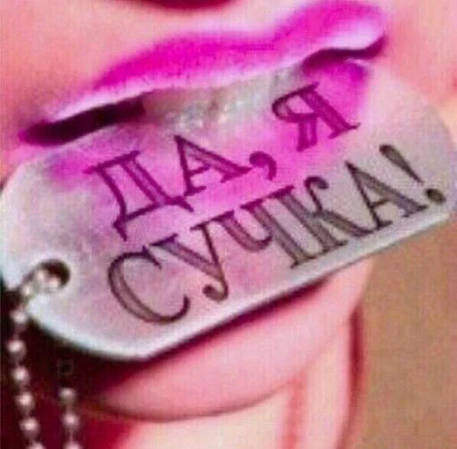 Sticker MEMES/МЕМЧИКИ - 1