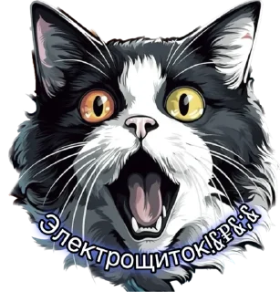 Sticker Mr.President - 0