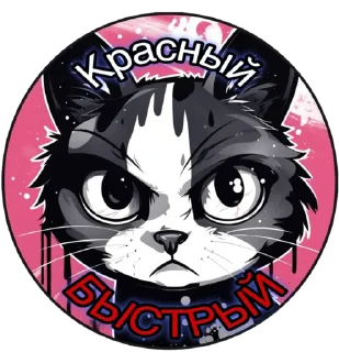 Sticker Mr.President - 1