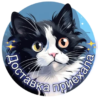 Sticker Mr.President - 6