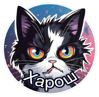 Sticker Mr.President - 7