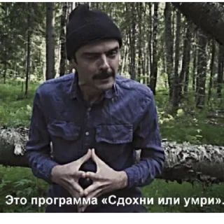 Стикер АтБоРнАе МяСа - 3