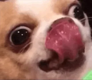 Стикер АтБоРнАе МяСа - 7