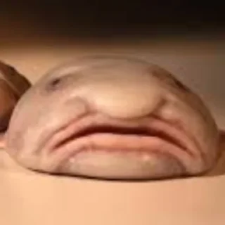 Стикер @GIFCONVERTER - 7