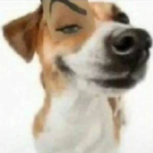 Sticker Prikolchik - 2