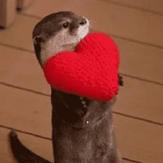 Sticker ПРИКОЛДУШКИ - 8