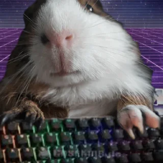 Sticker ПРИКОЛДУШКИ - 1