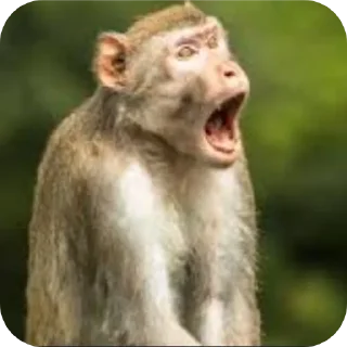 Sticker Приколы - 1