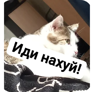 Sticker Приколы - 5