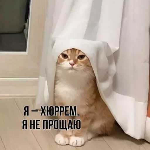 Sticker Prikoly8236 - 1