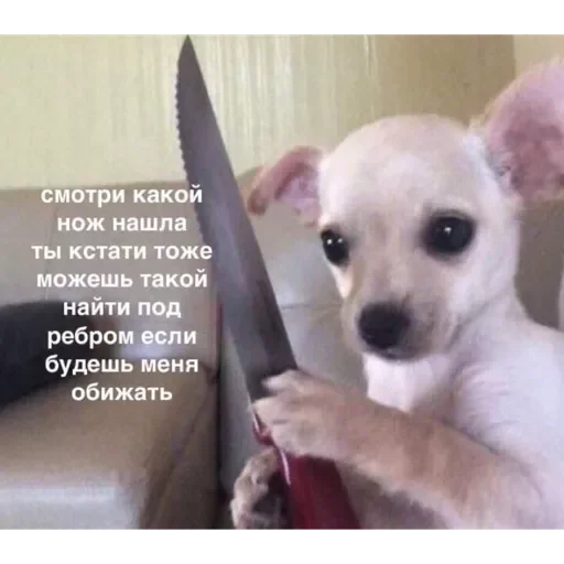 Стикер Prikoly8236 - 1