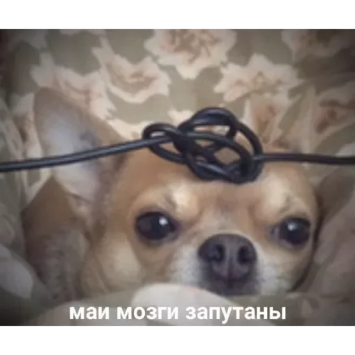 Sticker Prikoly8236 - 1