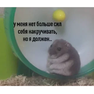 Sticker Приколы - 7