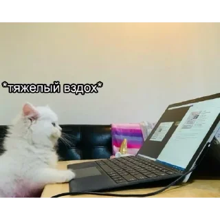 Sticker Приколы - 3