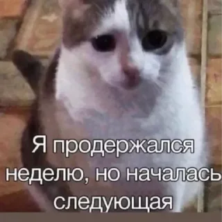 Sticker Приколы - 5