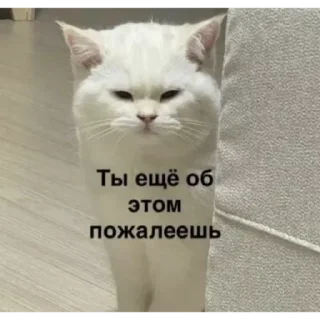 Sticker Приколы - 1