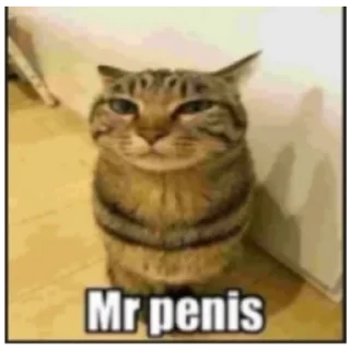 Стикер Приколы лютые - 11