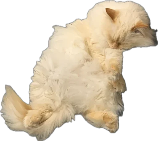 Sticker PrincandPizdyuk - 1