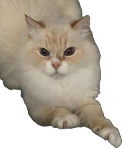 Sticker PrincandPizdyuk - 1