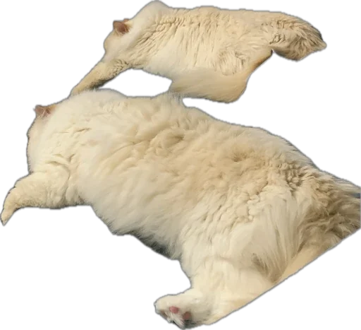 Sticker PrincandPizdyuk - 1