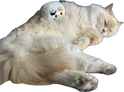 Стикер PrincandPizdyuk - 1