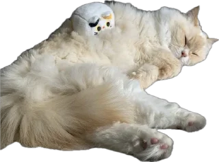 Sticker Крутыебобры - 1