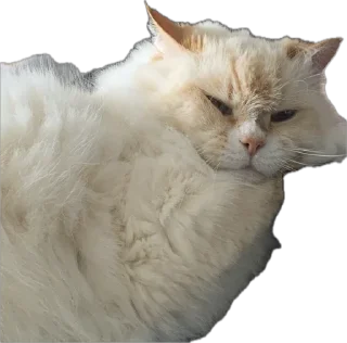 Sticker Крутыебобры - 5