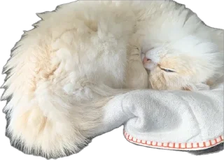 Sticker Крутыебобры - 9