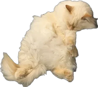 Sticker Крутыебобры - 10