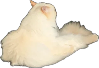 Sticker Крутыебобры - 7