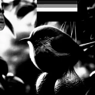 Стикер Привет - 0