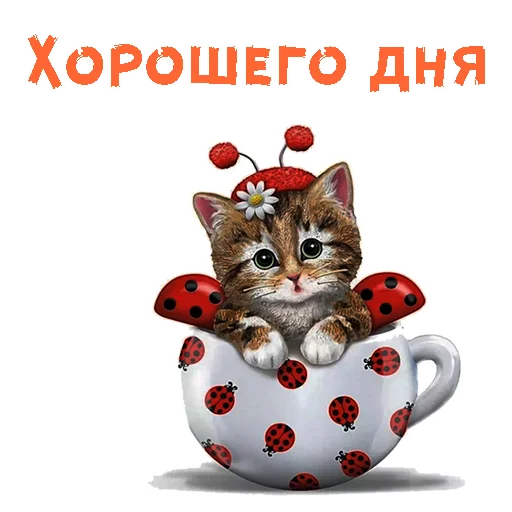 кошка животное мультфильм