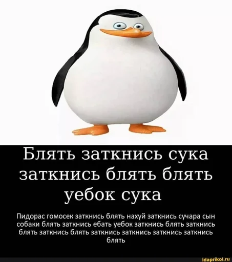 СМС водная птица пингвин