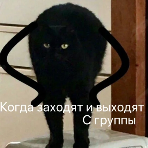 Стикер Privetzt - 1